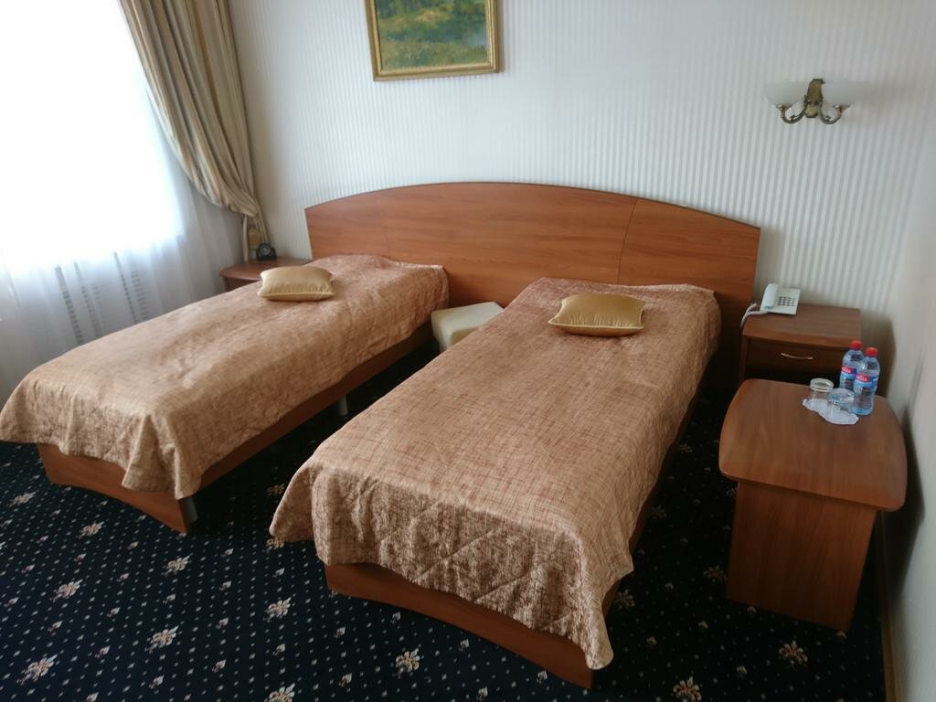 Гостиница Очарованный странник Орёл-105