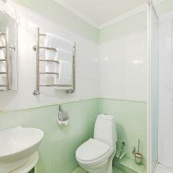 Гостиница Очарованный странник Орёл-236