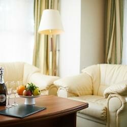 Гостиница Очарованный странник Орёл-113