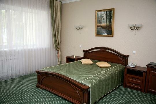 Гостиница Очарованный странник Орёл-206